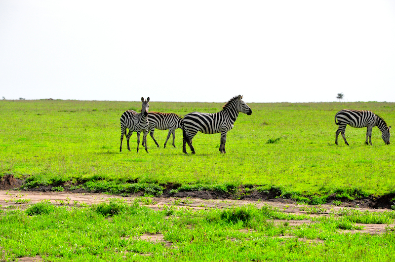 Melanie Heinrich Travel Images Africa
